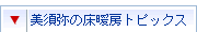 ���{��̏��g�[�g�s�b�N�X